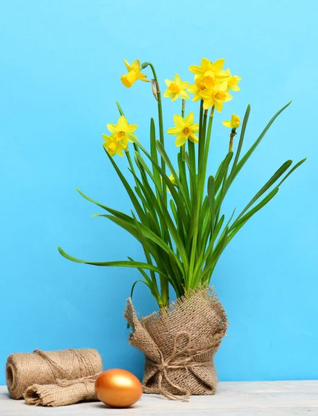 Spring yellow narcissus, golden easter egg and thread or rope — Stock Photo, Image