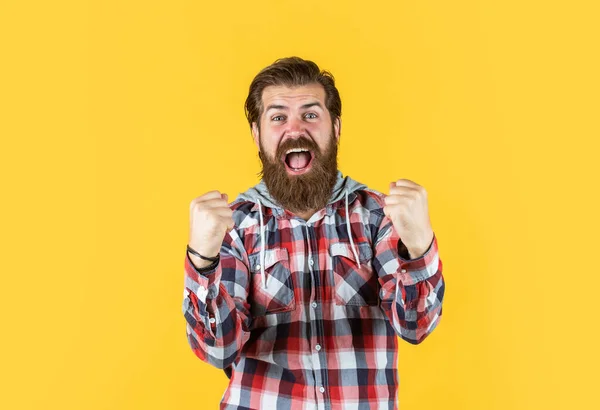 ¿Sí? belleza masculina y la moda. hombre seguro y estricto en camisa a cuadros casual. hombre barbudo maduro en camisa a cuadros. hombre guapo con camisa a cuadros sobre fondo amarillo — Foto de Stock