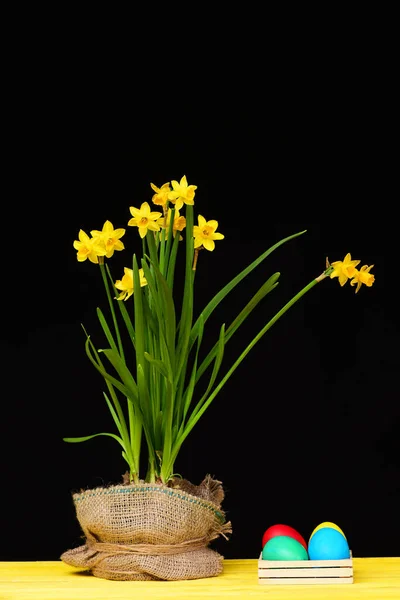 Flores en tarro de saco sobre mesa amarilla por huevos de Pascua . —  Fotos de Stock
