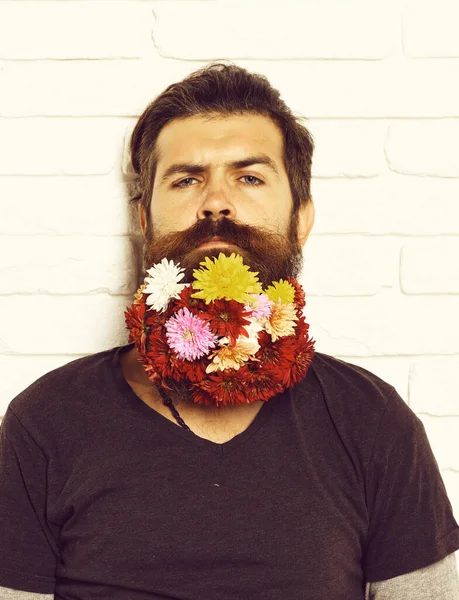 Hipster com flores em barba no fundo da parede de tijolo branco — Fotografia de Stock