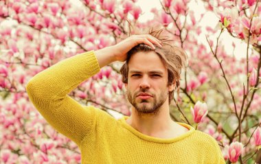 Ben bir pınarım. Taze çiçek. traşsız erkek manolya ağacı. Sakura arka planı. İyi havanın tadını çıkar. Çiçek açan seksi adam. Bahar modası. Erkek cinselliği.