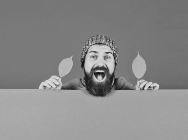 Yeşil ve siyanür arkaplanda kiraz ağacı yaprakları tutan adam