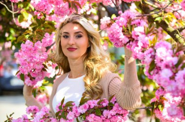 Çiçek aranjmanı. yumuşak cilt bakımı. Kiraz ağacı bahçesinde sağlıklı bir kız. Klasik yaz modası. Parkta bahar doğası çiçek açar. Retro kadın sakura çiçeği kokusu alıyor. Spa ve güzellik tedavisi