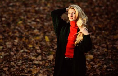 Uzun saç bakım konsepti. Sonbaharda saçına nasıl bakacağını. Saçları ne kadar hızlı ve güvenli bir şekilde beyazlatılmış. Kuru, kıvırcık saçlardan kaçınmak için sonbahar saç bakımı önemlidir. Muhteşem sarışın sonbahar parkı