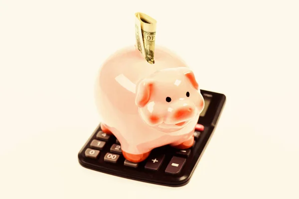財政的健康。貯金口座だ。ピギーバンクピンクの豚はドル紙幣と計算機を詰めた。貯金だ。経済と金融。貯蓄預金は便利な柔軟な方法預金貯蓄 ロイヤリティフリーのストック写真