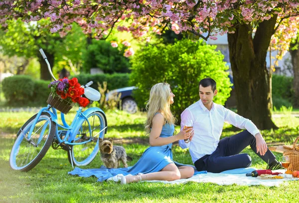 Attraktivt par Njuter av romantisk solnedgång picknick på landet. Romantiskt koncept. Inspirerande känslor. Skål. Fira årsdagen. Ett par drinkar på solig dag. Söta par dricker vin picknick — Stockfoto
