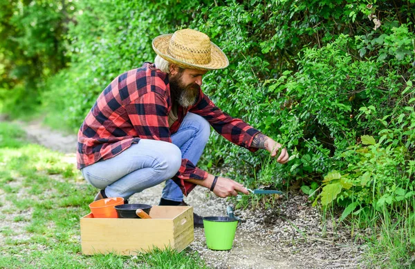 O jardineiro está a cavar no jardim. Trabalhar num jardim. jardineiro homem maduro. Solo para cavar espátulas. Ferramentas de jardim. sementes e solo. Primavera no jardim. Agricultor que dá fertilizante — Fotografia de Stock