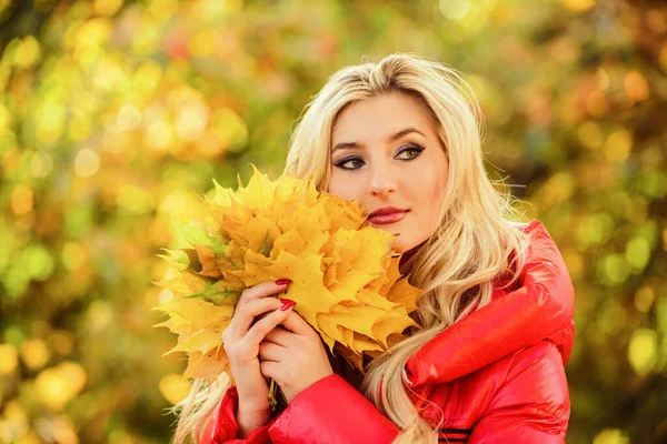 Концепция любимого сезона. Осень её любимое время года. Женщина гуляет в осеннем парке. Девушка грима мечтательный лицо держать кучу кленовых листьев. Леди позирует с листьями осенью — стоковое фото