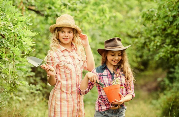 The best job ever. happy farming. spring country side. earth day. summer family farm. protect nature. Rich harvest. children work using gardening tool. small girls farmer in village. Beauty of nature — Stock Photo, Image
