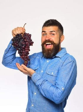 Bahçecilik ve bahçecilik konsepti. Çiftçi hasatını gösteriyor