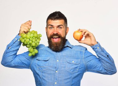 Neşeli yüzlü şarap üreticisi üzüm ve meyve tutuyor..