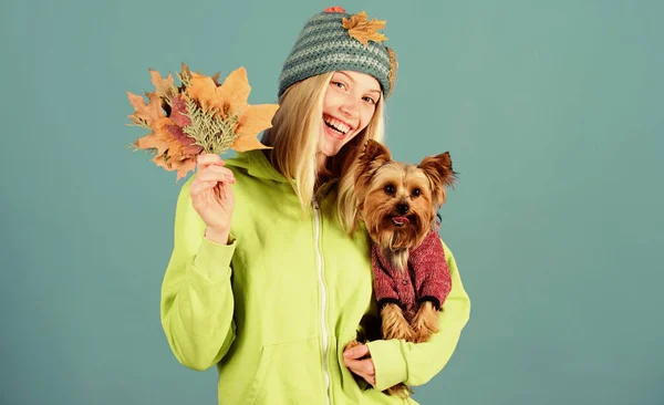 Girl hug cute dog and hold fallen leaves. Woman carry yorkshire terrier. Take care pet autumn. Veterinary medicine concept. Health care for dog pet. Pet health tips for autumn. regular flea treatment