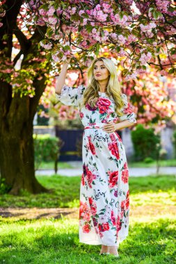 Harika kokuyor. Yaz havası ve doğa. Parkta uzun saçlı bir kadın. Pembe kiraz ağacı çiçeği. Elbiseli güzel bir kadın. Çiçek açan sakura ağacı olan kız. Bahar modası. Gerçek kadın güzelliği