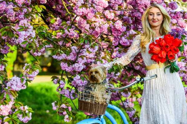 Summer fashion and beauty. lady walk in park. pink cherry tree blossom. girl carry flowers in retro bicycle. spring beautiful woman in dress. girl with vintage bike. blooming sakura tree. copy space.