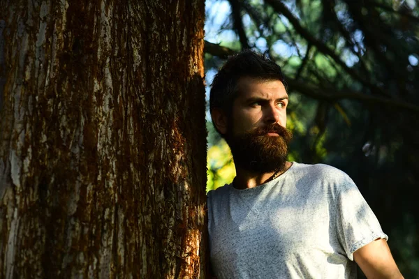 Macho con la barba gode di tempo soleggiato. Stagione calda e mascolinità — Foto Stock