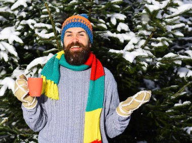 Guy with firtrees covered with snow on background. clipart