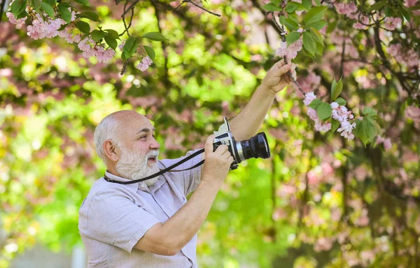 Fotógrafo de homem sênior florescendo árvores fundo. Reforma do operador de câmara. Fotógrafo profissional. Capturando momentos que cativam seu coração. Fotografa a filmar. Moldura perfeita. Passatempo da pensão — Fotografia de Stock