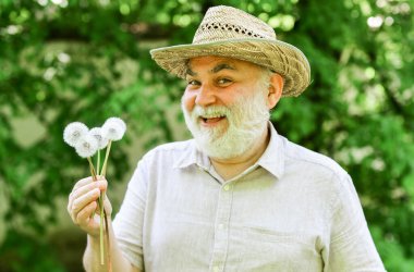 Merhaba yaz. Kıdemli adam parkta karahindiba tohumları saçıyor. Hasır şapkalı yaşlı bir adam. Hafıza kaybı kavramı. Kellik ve saç dökülmesi kavramı. Mutlu ve kaygısız bir emeklilik. Büyükbaba çiftçi