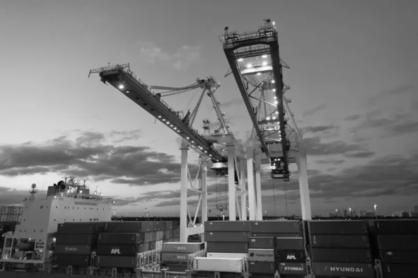 Miami, USA - March 01, 2016: containers in cargo port. 약탈자들과 두루미들이 어둑어둑 한 황혼 속에서 빛을 보았습니다. 컨테이너 선박. 컨테이너 봉사 — 스톡 사진