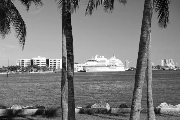 Miami, EUA - 29 de fevereiro de 2016: Seven Seas Navigator on deep blue water and sky with palms foreground. Aventura e descoberta. Viajar e viajar. Viagem e viagem. Anseio por vagar. Férias — Fotografia de Stock