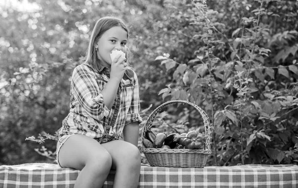 Mangez sainement. Concept de récolte estivale. Concept de nourriture maison saine. Fille mignon souriant enfant vivant une vie saine. Récolte biologique. Enfant cueillant des légumes arrière-plan nature. Mode de vie sain — Photo