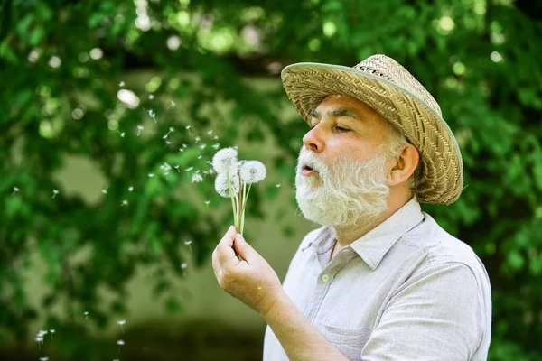 Yaz mutluluğu. Büyükbaba çiftçi. Kıdemli adam parkta karahindiba tohumları saçıyor. Hasır şapkalı yaşlı bir adam. Hafıza kaybı kavramı. Kellik ve saç dökülmesi kavramı. Mutlu ve kaygısız emeklilik — Stok fotoğraf