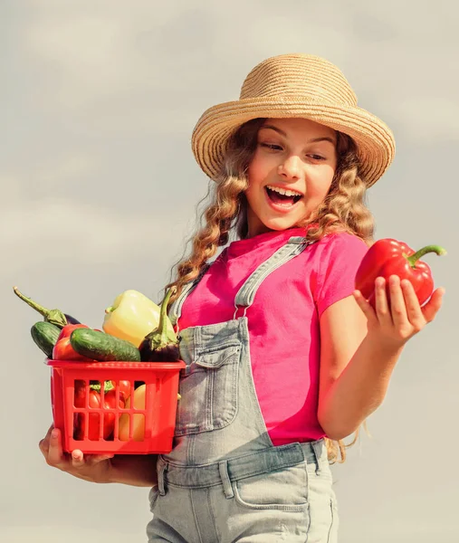 Organik yiyecekler. Çiftlikte güneşli bir gün. Sepetteki sebzeler. Kız sevimli çocuk çiftçiliği. Çocuk arka planda hasat taşır. Ev yapımı sebzeler. Doğal vitamin besin değeri. Ekin hasadı. Hasat mevsimi — Stok fotoğraf