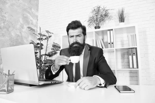 Discutir negócios ao café. Ceo respeitável. Um chefe bonito senta-se no escritório a beber café. Espaço de trabalho confortável. Fato formal hipster barbudo relaxante com café. Rotinas de vida no escritório. Bom dia. — Fotografia de Stock