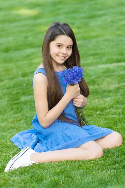 Chica vestido azul relajarse campo verde con flores de maíz frescas, recogiendo el concepto de flores silvestres —  Fotos de Stock