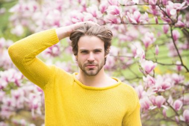 Bahçede bahar mevsimi konsepti çiçek açan ağaçlarla birlikte..