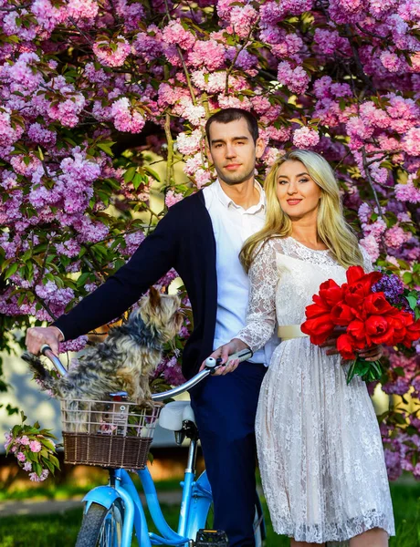 Feliz de estar juntos. belleza y moda. perro en fecha de bicicleta retro. pareja romántica bajo el árbol de sakura. pareja enamorada de la bicicleta vintage. flor de primavera florecen. hombre y mujer en el parque con flor rosa — Foto de Stock