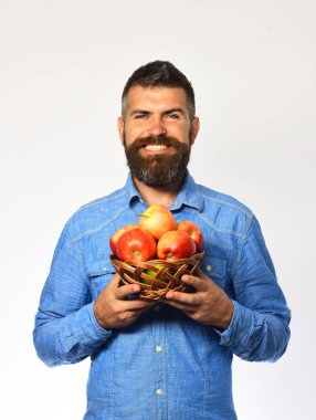 Mutlu yüzlü çiftçi kırmızı elmaları tutar.