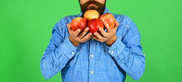 농업과 가을 상품의 개념이다. 수염을 가진 남자가 사과 냄새를 맡는다 — 스톡 사진