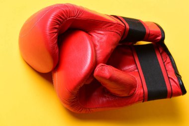 Spor ve dövüş sanatları konsepti. Deri kutu ekipmanı