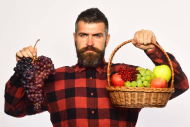 Ciddi yüzlü çiftçi elma, kızılcık ve üzüm sunar..