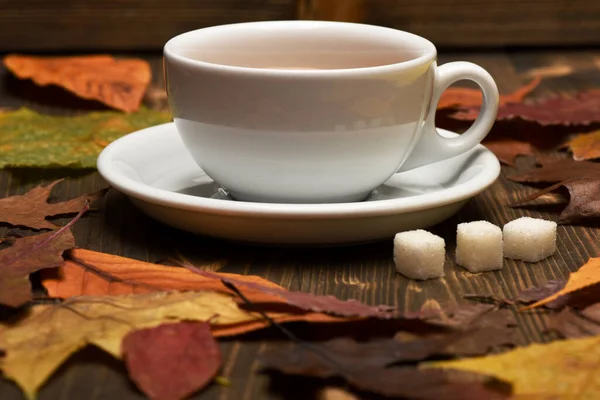 Höstlöv mönster med kaffe eller te kopp — Stockfoto
