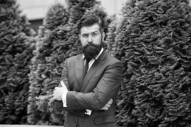 Damat düğünü. Emlakçı ceketi. Modern yaşam konsepti. Özgüvenin portresi. Başarılı bir sigortacı. Gelecekteki işvereniniz. Sokaktaki yakışıklı müdür. Resmi kıyafetli adam dışarıda bekliyor.