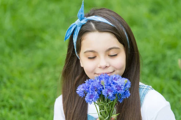 女の子のコーンフラワー花束の休日の挨拶、私のお気に入りのコンセプト — ストック写真