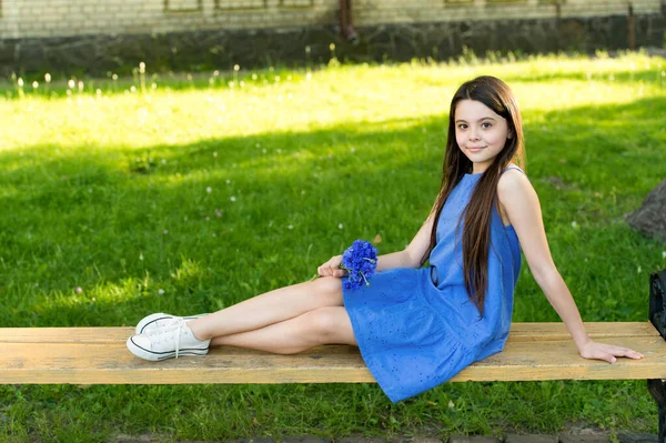 Robe bleue fille se détendre champ vert avec des bleuets frais, repos dans le concept du parc — Photo