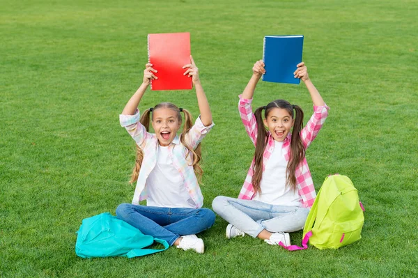 Filles écolières faisant leurs devoirs ensemble sur l'air frais, concept de journée de la connaissance — Photo