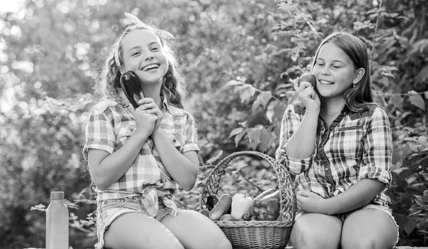 Colheita orgânica. Mercado agrícola. A vender comida caseira. Meninas crianças bonitos agricultura. Crianças colhendo vegetais natureza fundo. Conceito de colheita de verão. Colheita natural. Feliz jardim irmãs — Fotografia de Stock