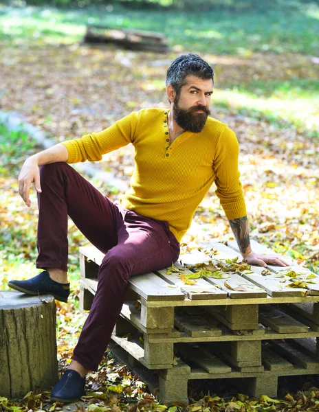 Sakallı adam ahşap paletlere oturur..