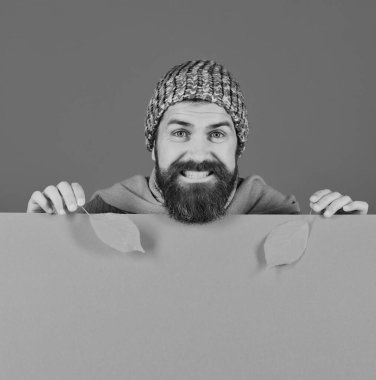 Sakallı adam sarı kiraz ağacı yapraklarını tutuyor..