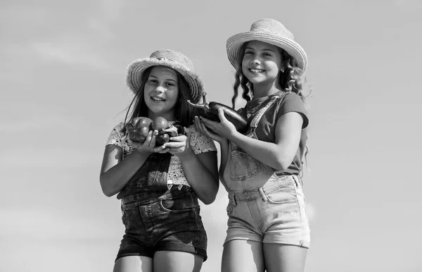 Haz todo con amor. La comida sana es vida feliz. cosecha de vitamina. jardín del mercado de primavera. agricultura infantil. cosecha de otoño. Chicas pequeñas vegetales. Es natural. niños en la granja de verano. Alimentos ecológicos — Foto de Stock