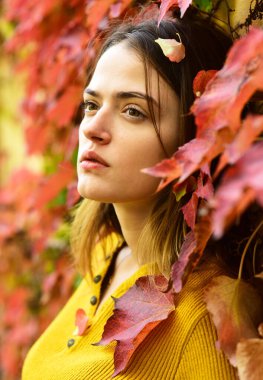 Kırmızı yaprakların yanında poz veren kadın. Romantik yüzlü kadın.