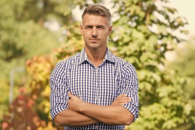 Olgun görünümlü bir erkek model doğa geçmişi. Maço olmak. Tüylü ve sakallı. Doğal güzellik. Çekici, bakımlı, sakallı bir adam. Berber dükkanı konsepti. Kır saçlı. Berber kuaför