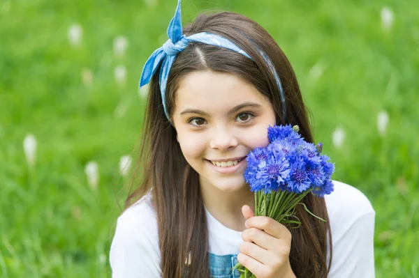 Pequena menina cornflowers buquê férias saudações, coletando flores conceito — Fotografia de Stock