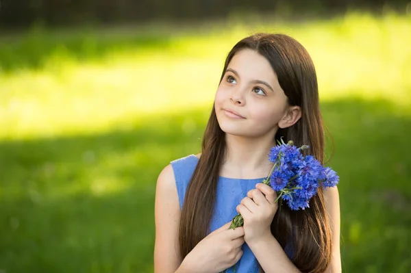 Mavi kız elbisesi yeşil tarlayı taze çiçek ile rahatlatır, rüya gibi çocuk konsepti — Stok fotoğraf