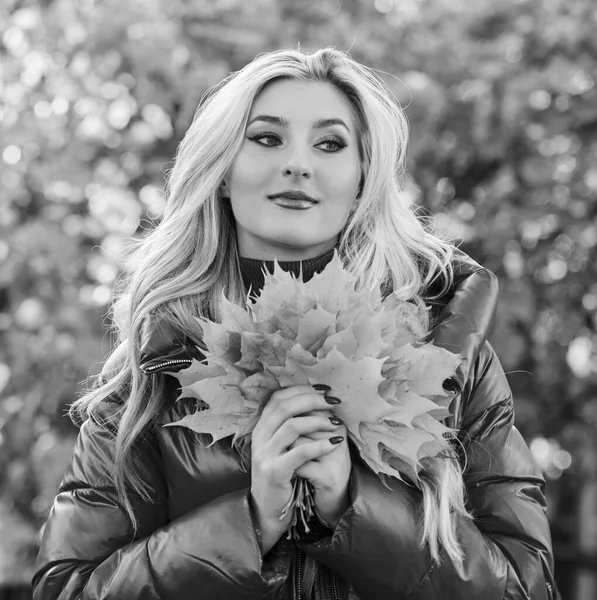 Concetto di bouquet autunnale. Ragazza trucco biondo viso sognante tenere grappolo caduto acero foglie gialle. Le donne trascorrono piacevoli momenti nel parco autunnale. Signora posa con foglie fondo natura autunnale — Foto Stock