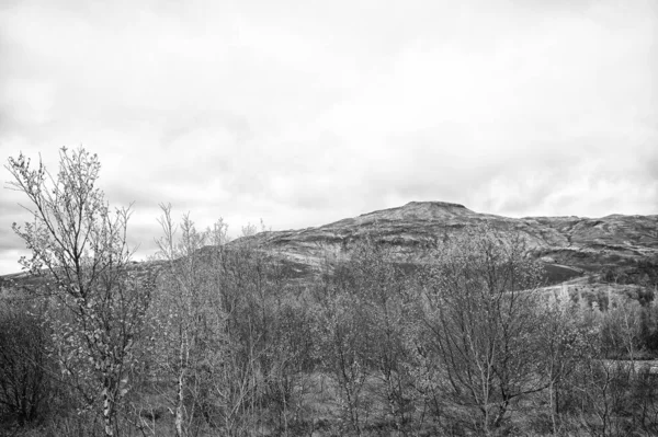 高山。在冰岛沦陷冰岛草地上的风景景观.秋天多云的天气.气候变化。自然与生态。秋游冰岛自然。旅游和旅行 — 图库照片